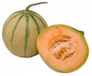 melon