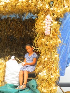 Fete de l'ail à Lautrec