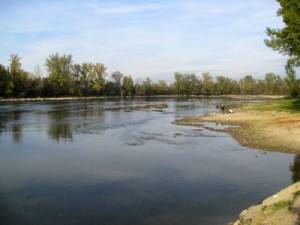 cueillir des gratte-culs à Toulouse